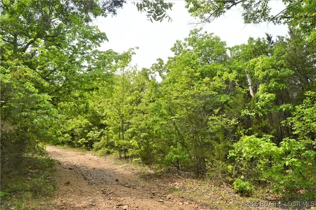 $52,500 | 26 And Tract 32 Hidden Bluff Circle, Brumley, MO 65017