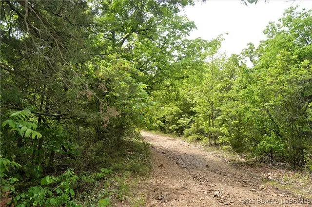 $52,500 | 26 And Tract 32 Hidden Bluff Circle, Brumley, MO 65017