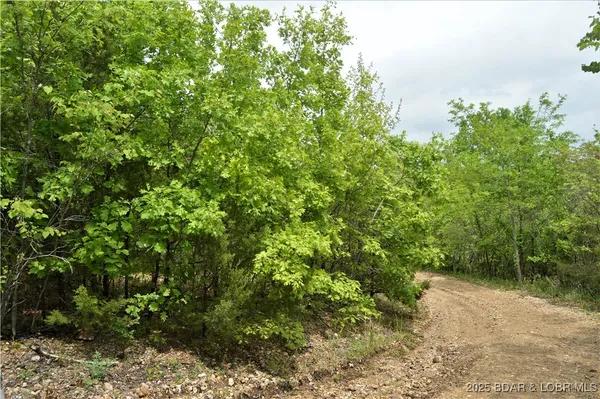 $52,500 | 26 And Tract 32 Hidden Bluff Circle, Brumley, MO 65017