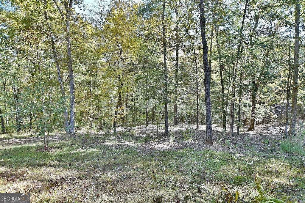 3175 Salem Road Pine Mountain, GA 31822 - Photo 14 of 41 a view of outdoor space with trees
