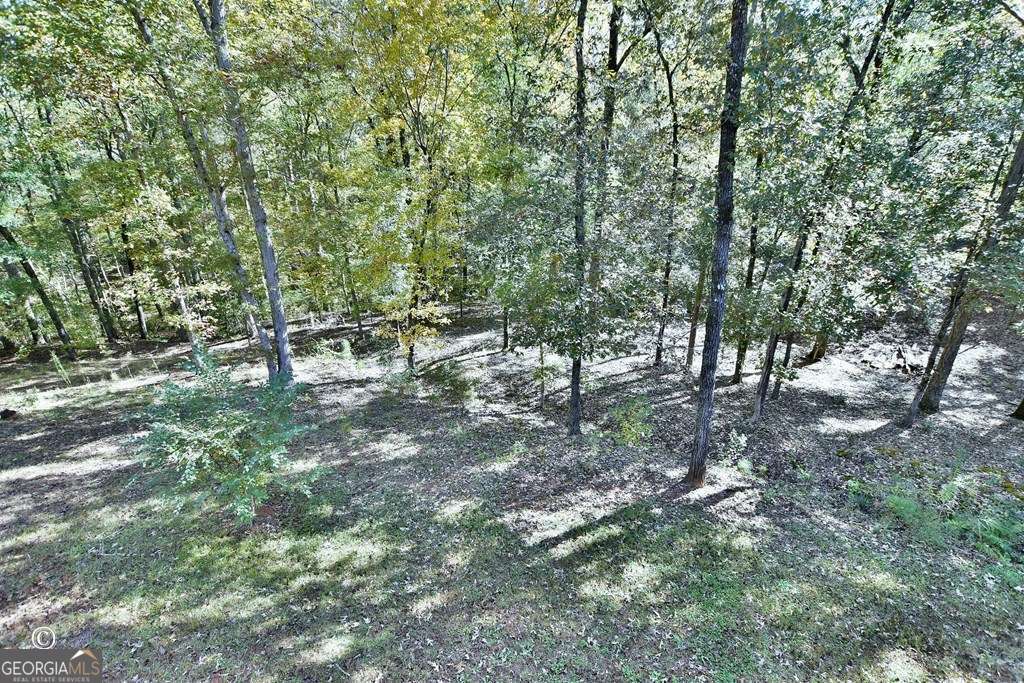 3175 Salem Road Pine Mountain, GA 31822 - Photo 33 of 41 a view of a forest with trees in the background