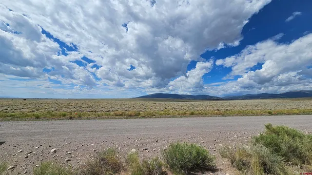 a view of a yard with large trees