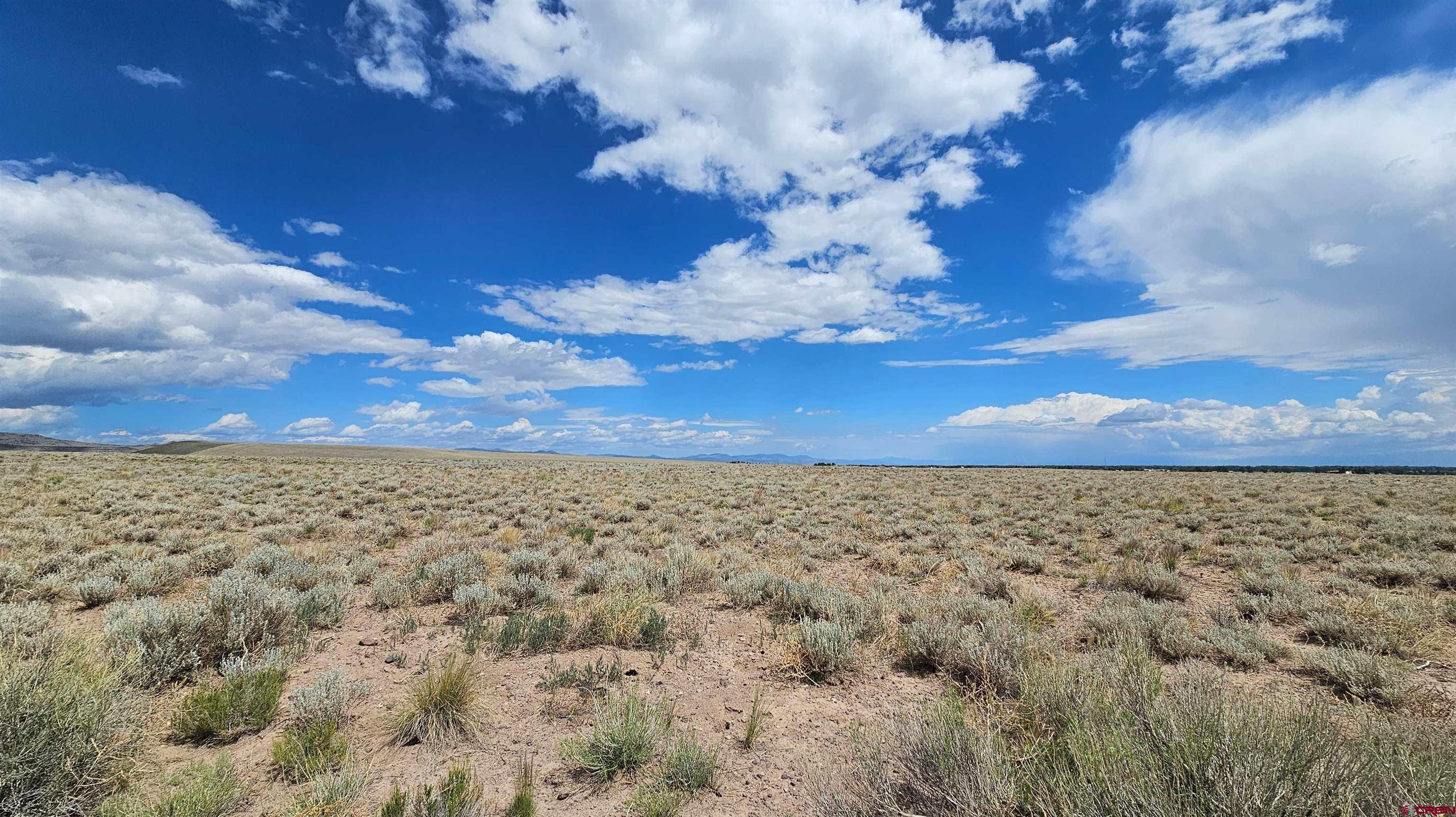 Tbd Lariat Road Monte Vista, CO 81144 - Photo 5 of 20 a view of a yard with a yard