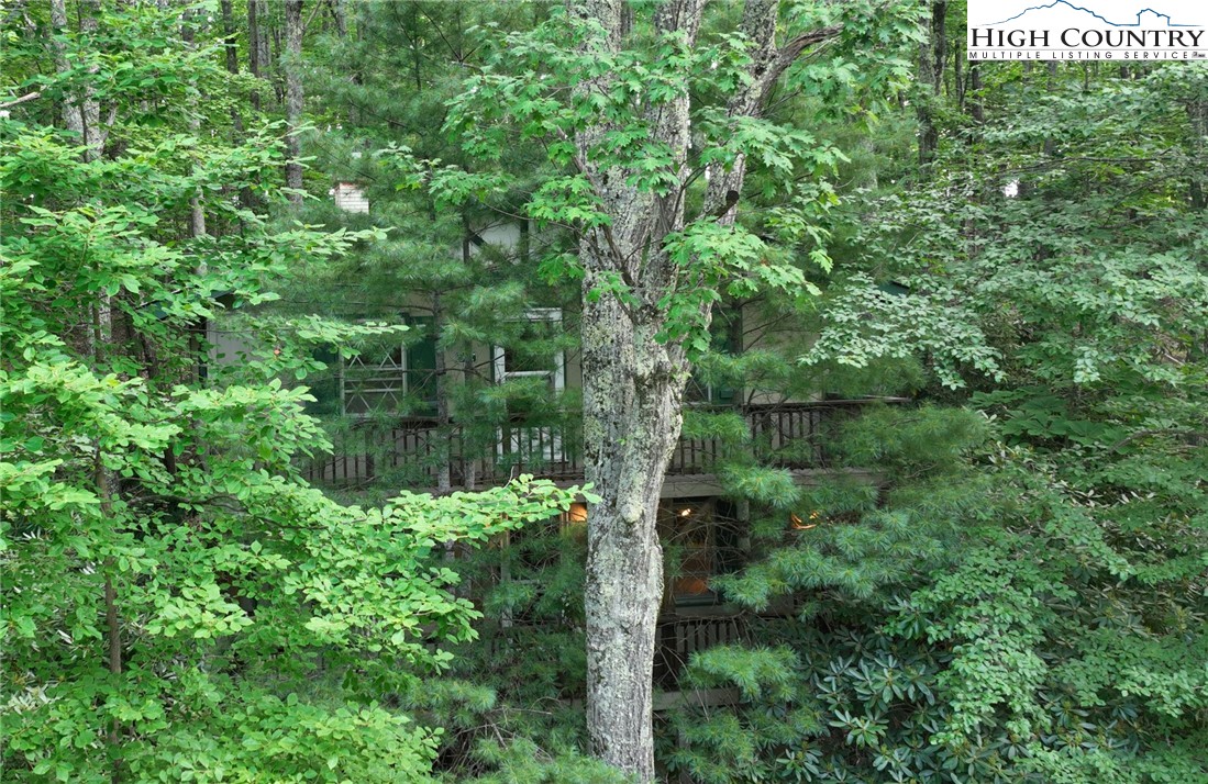 206 Oak Road Beech Mountain, NC 28604 - Photo 2 of 22 a view of a garden