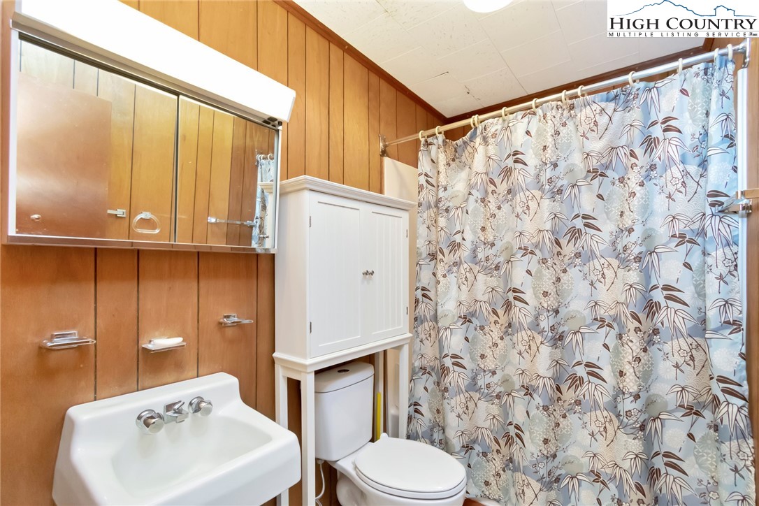 206 Oak Road Beech Mountain, NC 28604 - Photo 22 of 22 a bathroom with a toilet a sink and a mirror