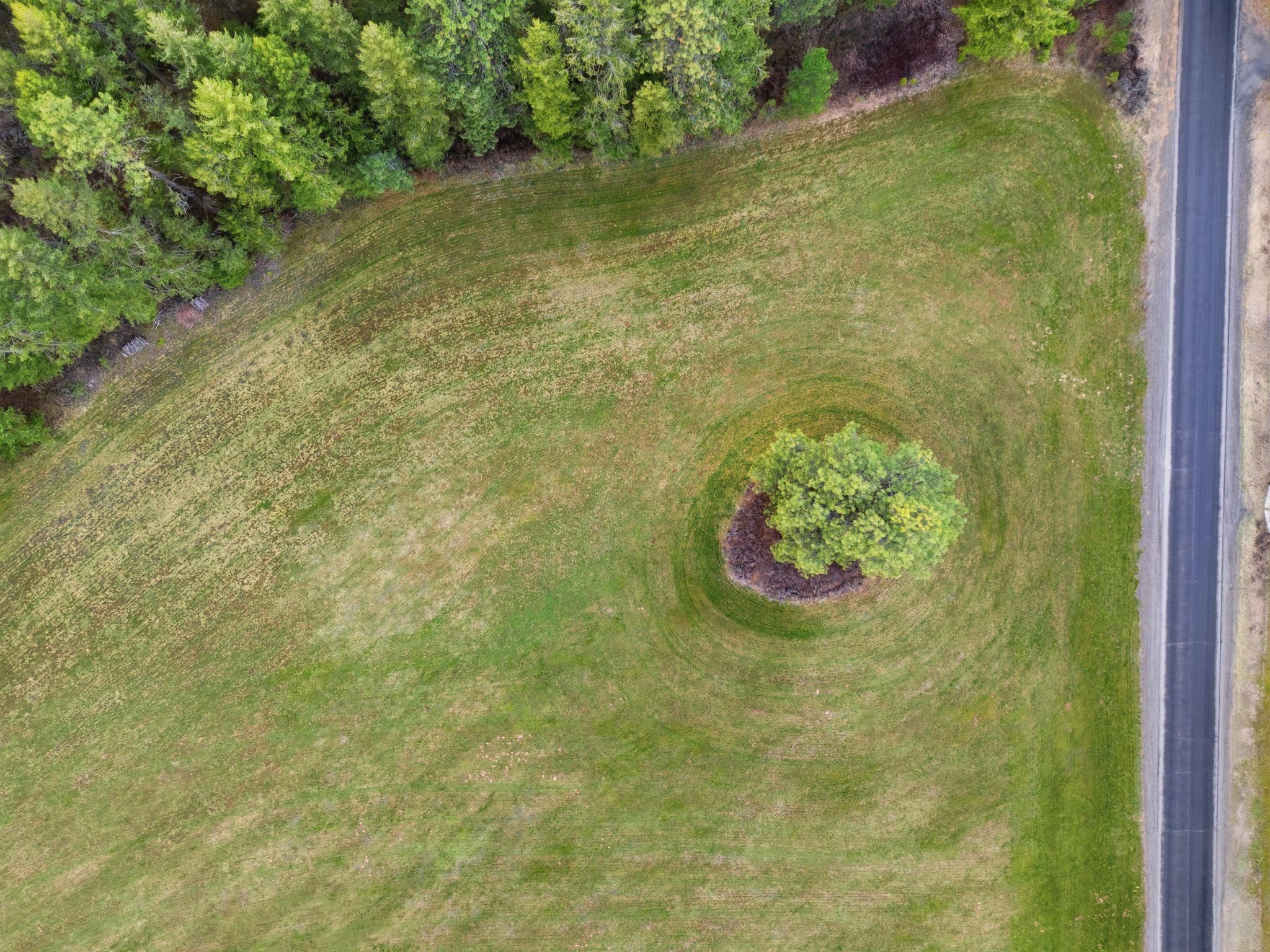 44-xx East Spangle Creek Road Valleyford, WA 99036 - Photo 4 of 9