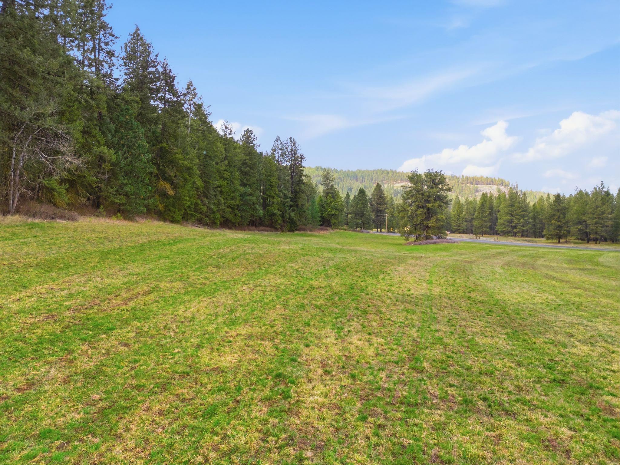 44-xx East Spangle Creek Road Valleyford, WA 99036 - Photo 5 of 9
