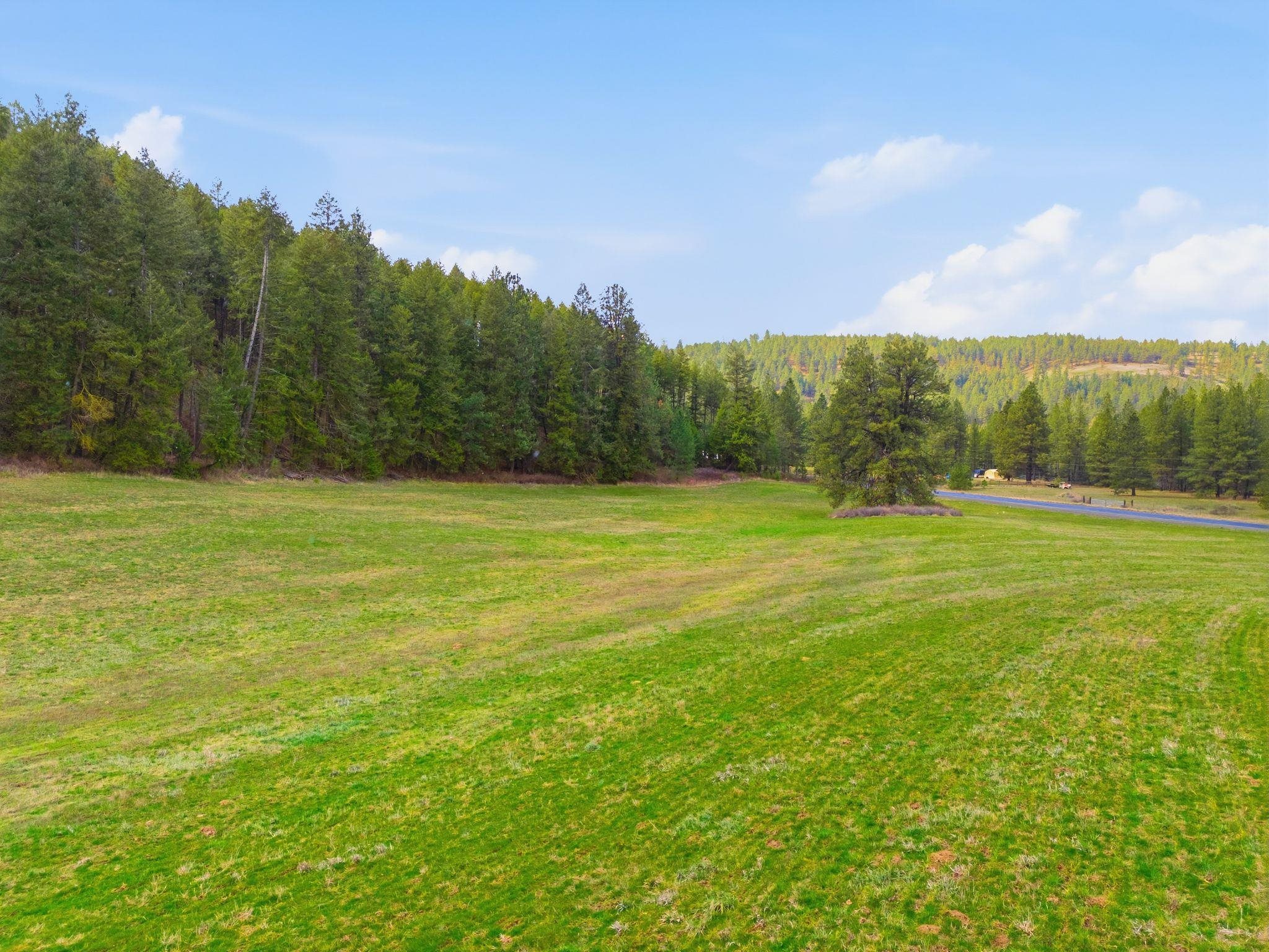 44-xx East Spangle Creek Road Valleyford, WA 99036 - Photo 6 of 9