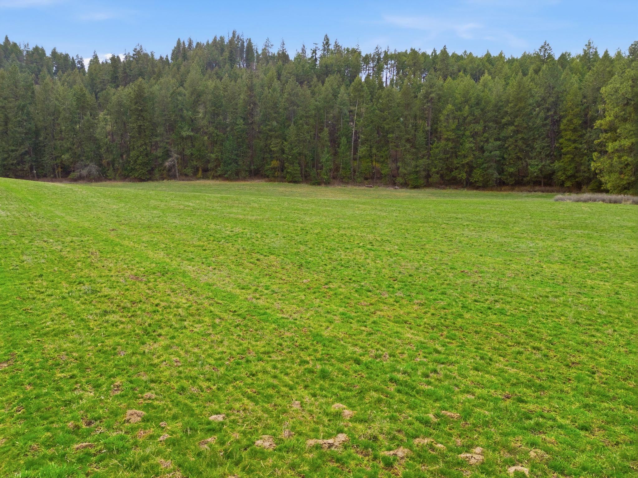 44-xx East Spangle Creek Road Valleyford, WA 99036 - Photo 7 of 9