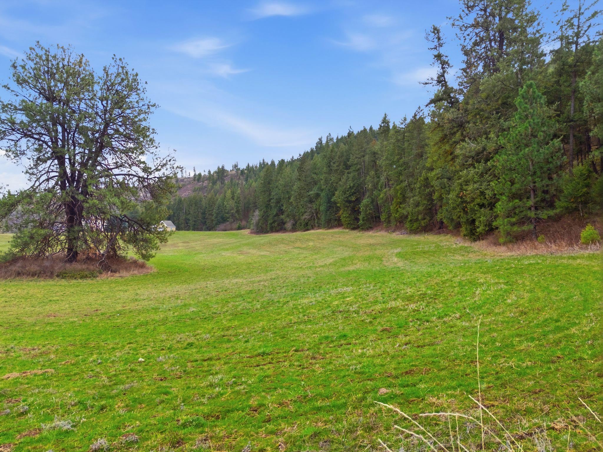 44-xx East Spangle Creek Road Valleyford, WA 99036 - Photo 8 of 9