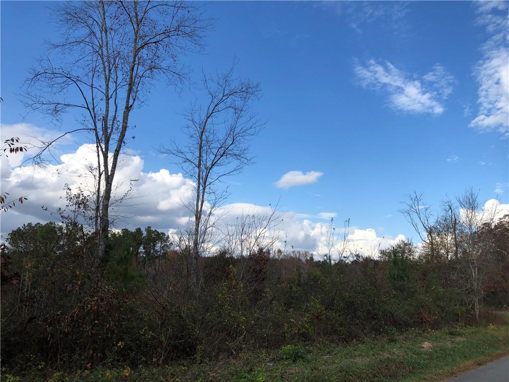 0 Madden Road Kingston, GA 30145 - Photo 1 of 1