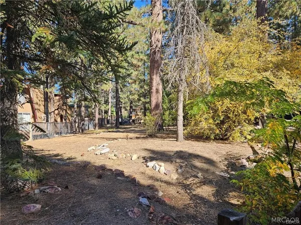 a view of a yard with trees