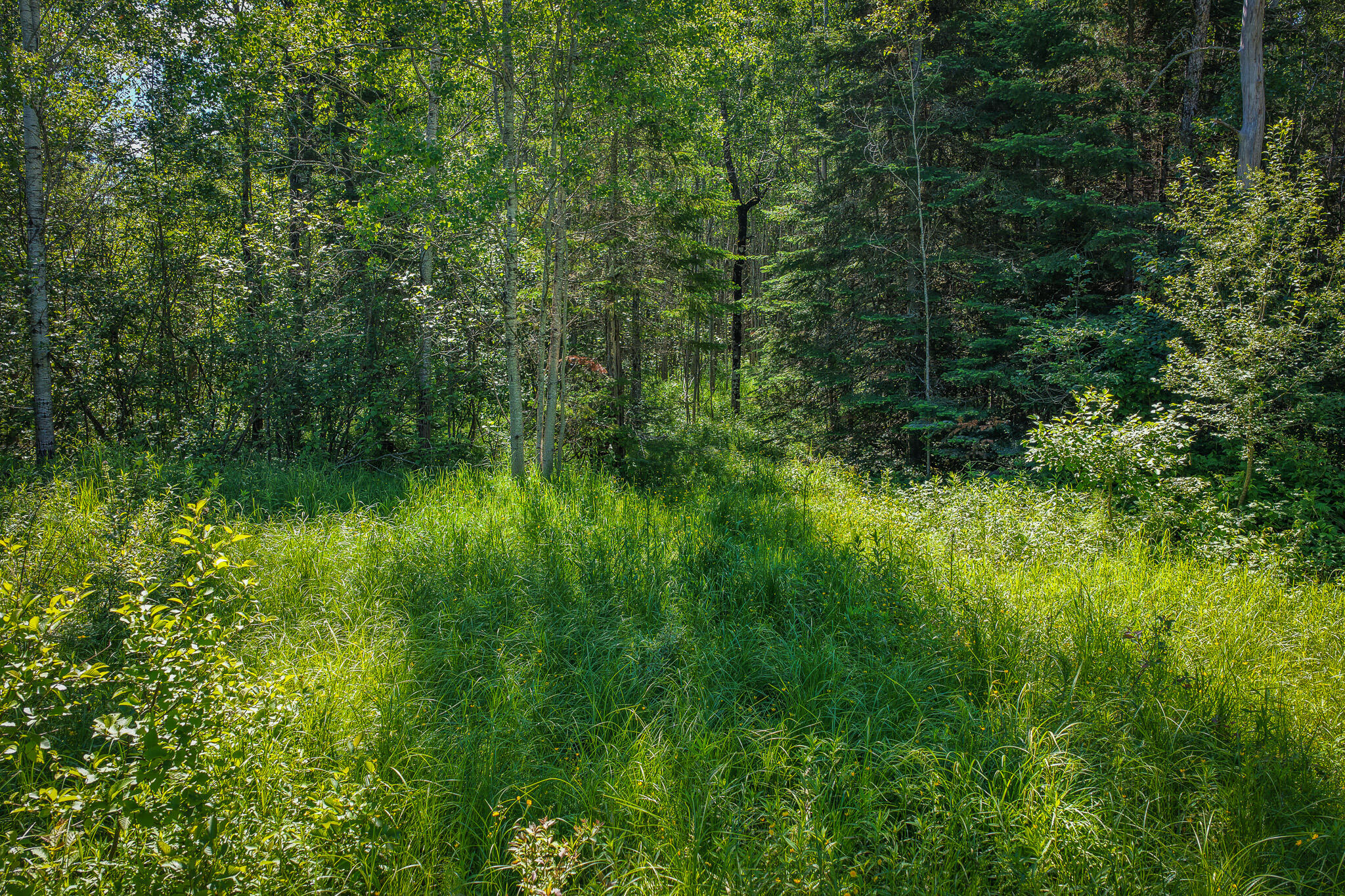 South North Hulbert Road Eckerman, MI 49728 - Photo 13 of 29 DJI_20260623030743_0016_D