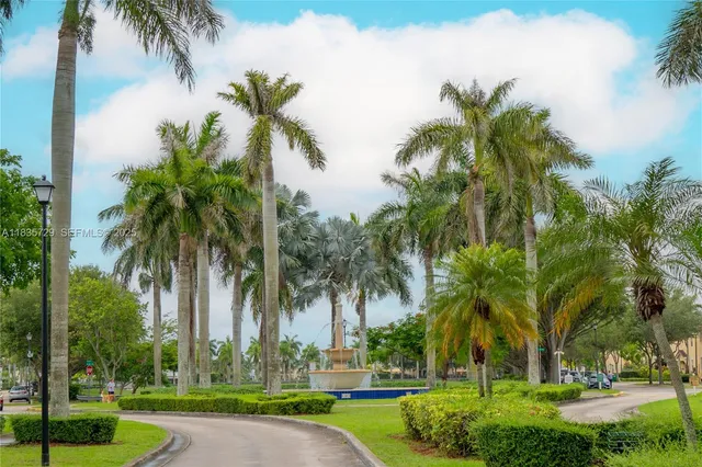 a view of a palm trees