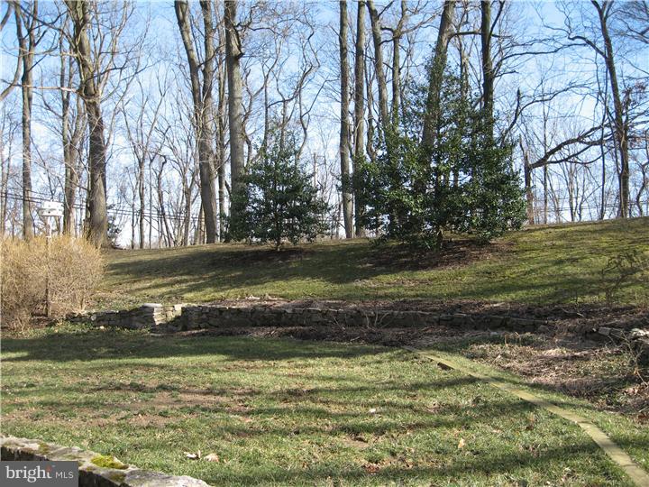 405 Hilltop Road Paoli, PA 19301 - Photo 4 of 10 Back Yard