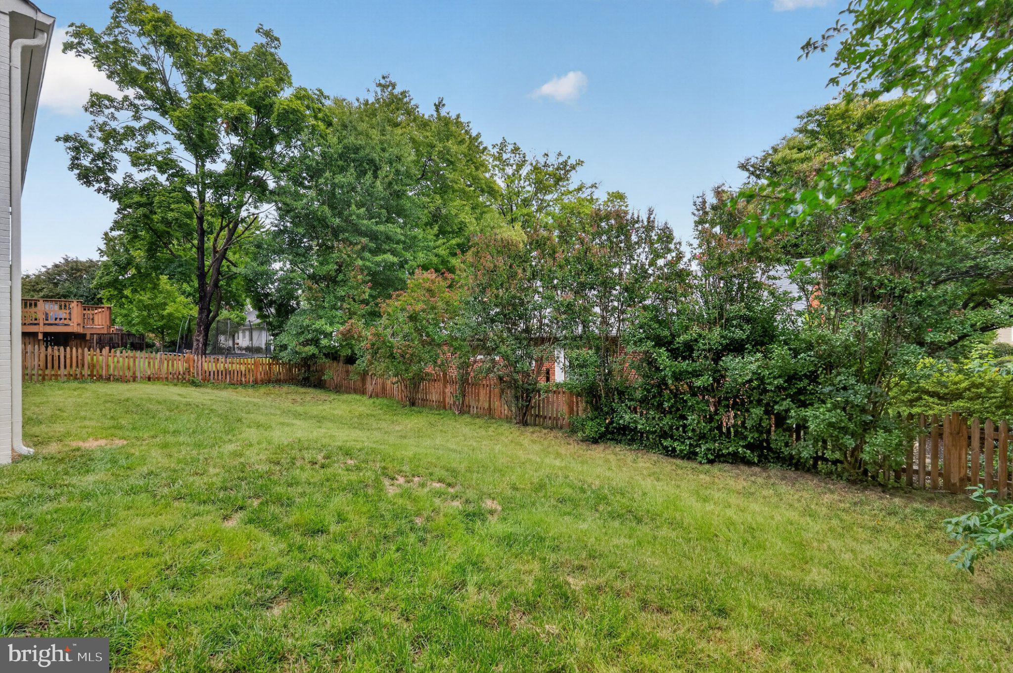 313 Vassar Road Alexandria, VA 22314 - Photo 44 of 58 Gallery Image 44
