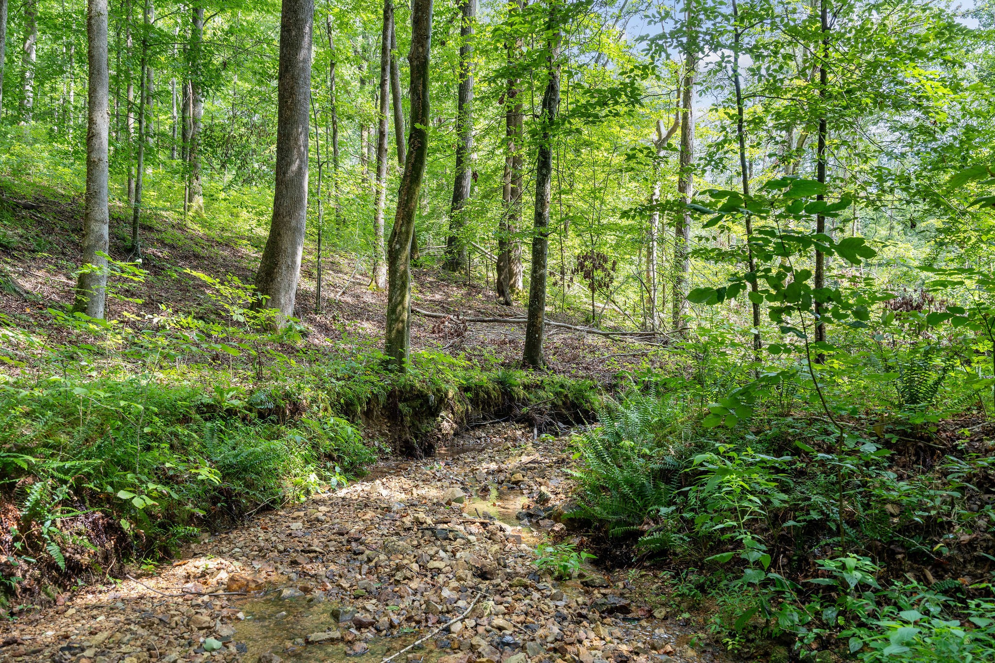 5729 Natchez Trace Road Franklin, TN 37064 - Photo 68 of 76 Gallery Image 68