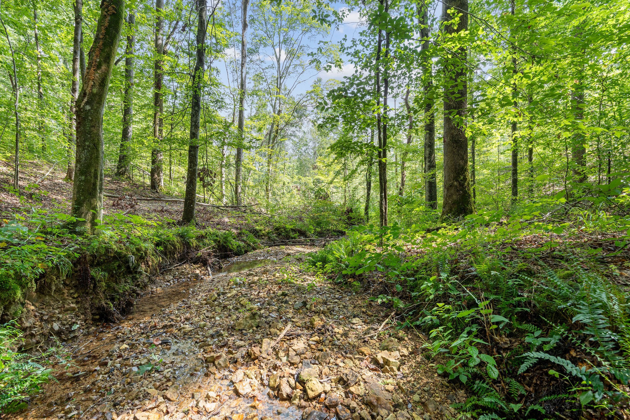 5729 Natchez Trace Road Franklin, TN 37064 - Photo 69 of 76 Gallery Image 69