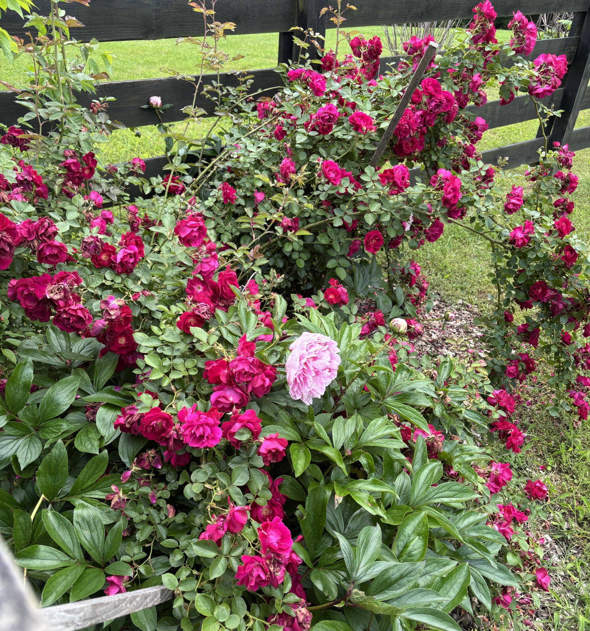 5729 Natchez Trace Road Franklin, TN 37064 - Photo 75 of 76 Gallery Image 75