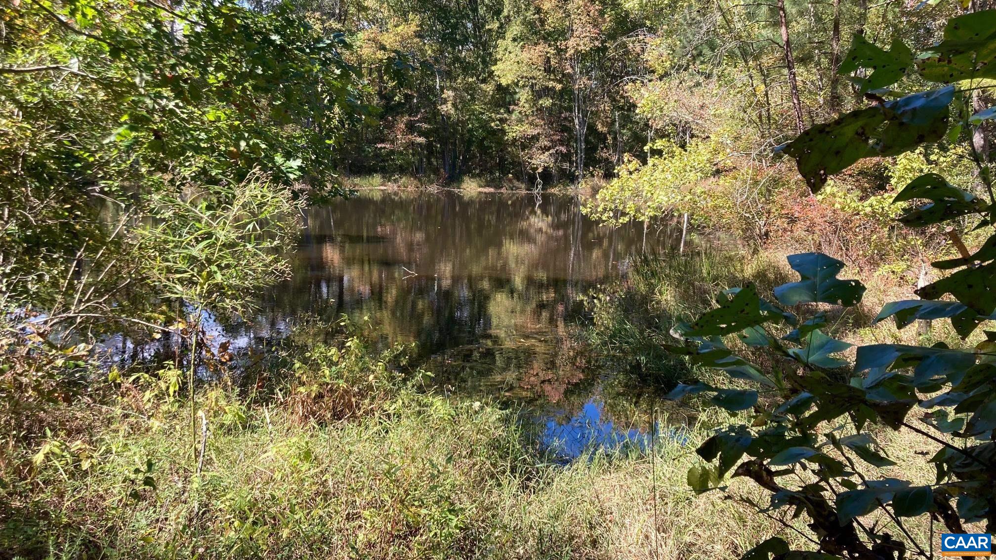 1280 Spring Road Bremo Bluff, VA 23022 - Photo 20 of 22 Gallery Image 20