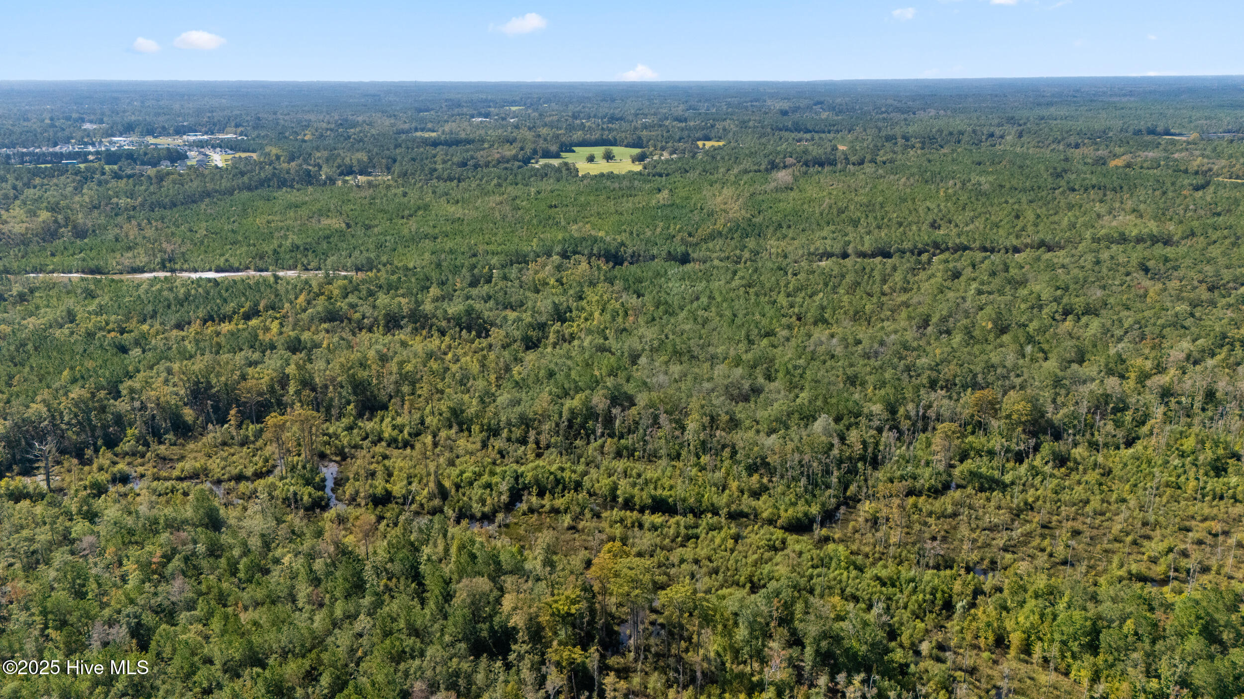 0 Green Swamp Rd Road Northwest Supply, NC 28462 - Photo 11 of 35 6_dji_20251009093113_0006_d