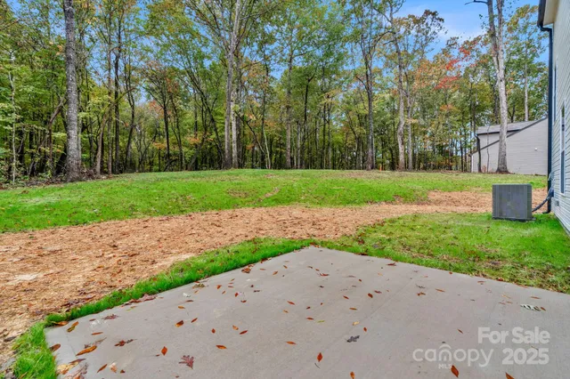 a view of a park with large trees