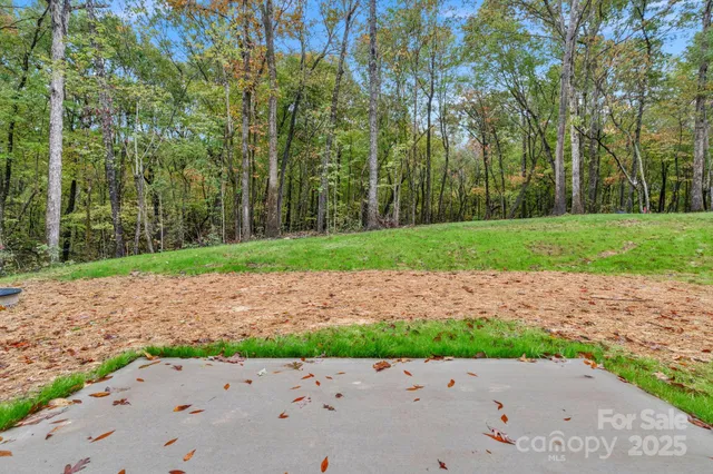 a backyard of a house with lots of green space