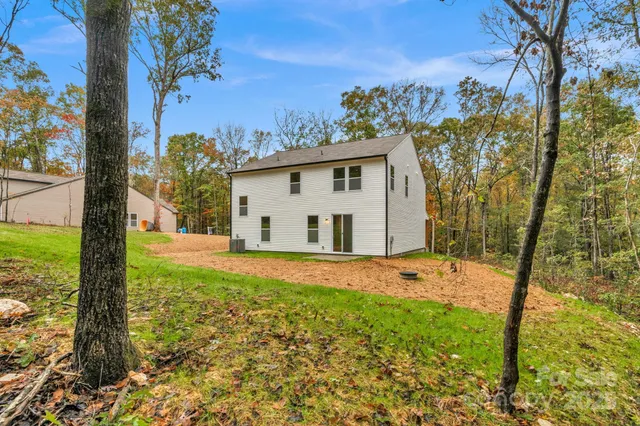 a view of a backyard with plants and large tree