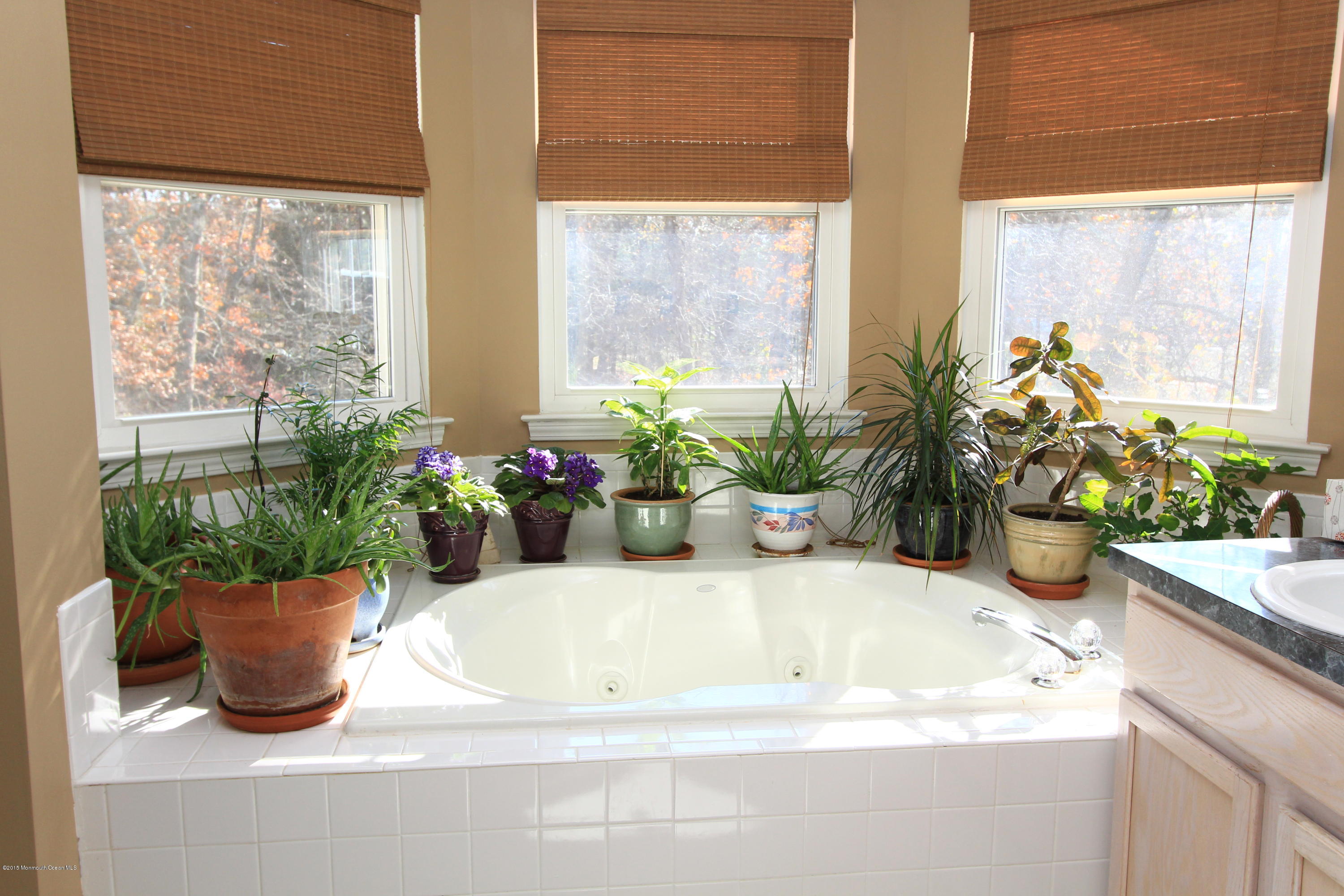 41 East Shenendoah Road Howell, NJ 07731 - Photo 17 of 29 Master Bath