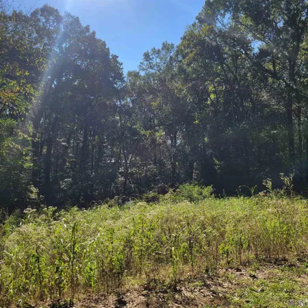 $99,000 | 7 Heather Drive, Natchez, MS 39120
