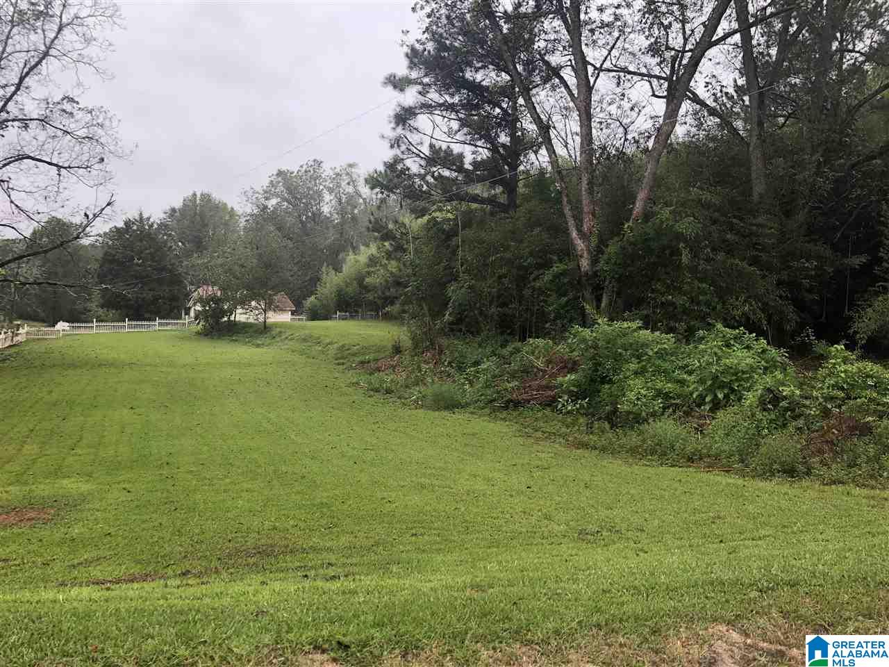 910 Airport Road Clanton, AL 35045 - Photo 3 of 6