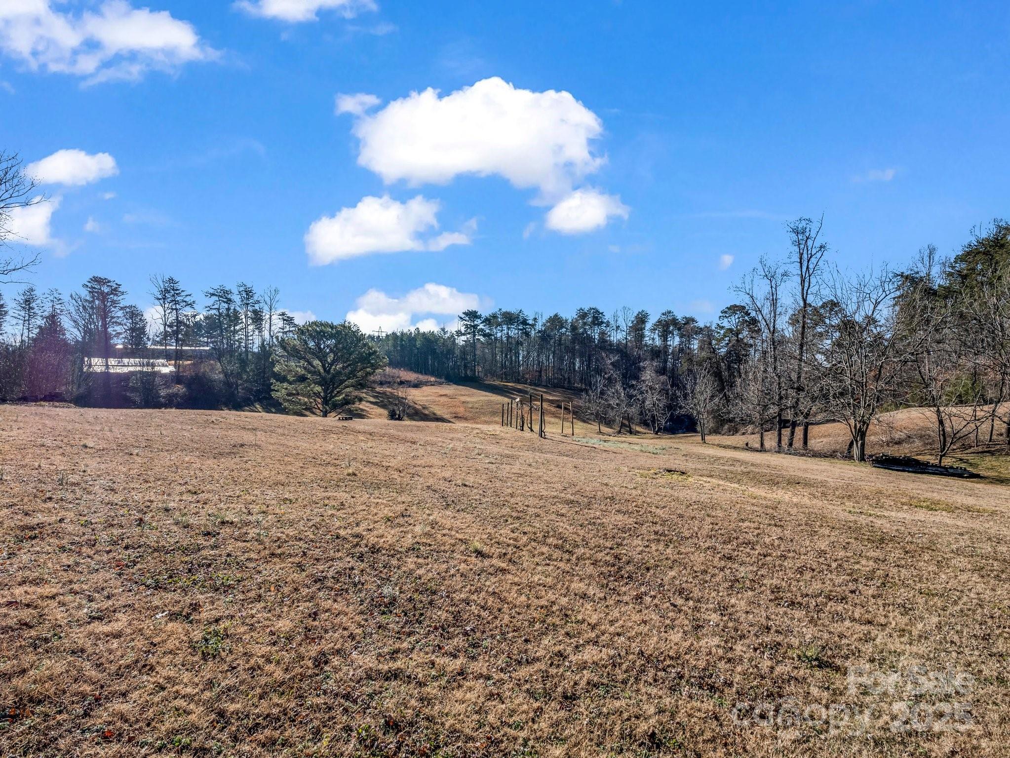 32 Manus Chapel Road Mill Spring, NC 28756 - Photo 5 of 48 Gallery Image 5