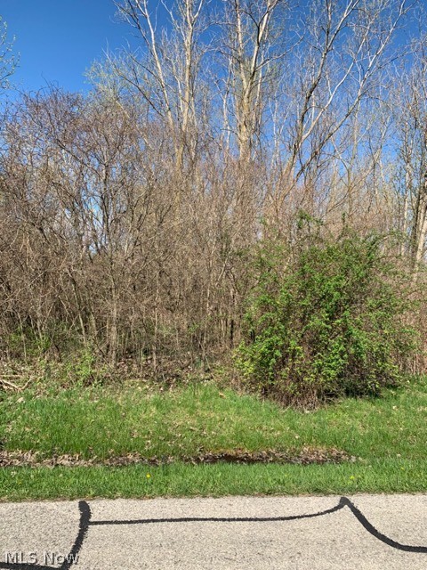 0 Andress Road Berlin Heights, OH 44814 - Photo 6 of 7