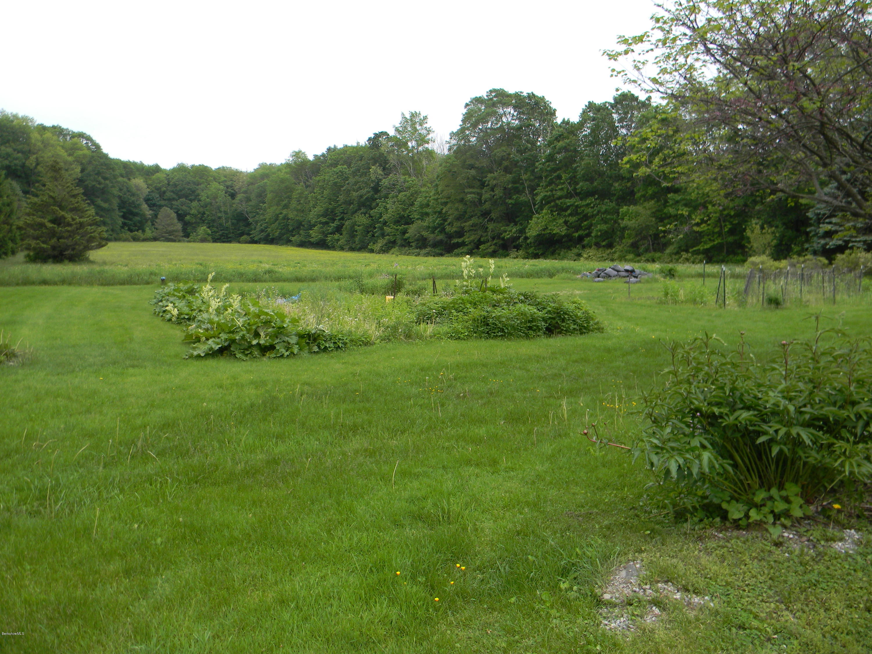 995 Dublin Road Richmond, MA 01254 - Photo 11 of 13 a view of a green field with plants