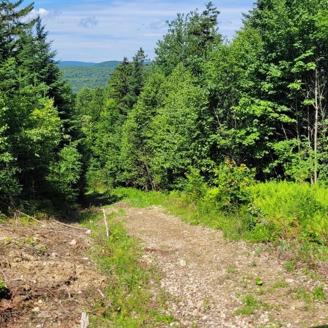 Off Rocky Road West Burke, VT 05871 - Photo 5 of 19 Gallery Image 5