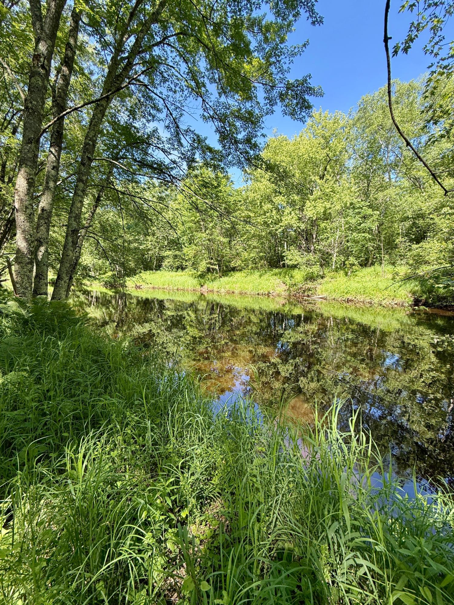 Lot 7 Pine River Road Tomahawk, WI 54487 - Photo 1 of 22