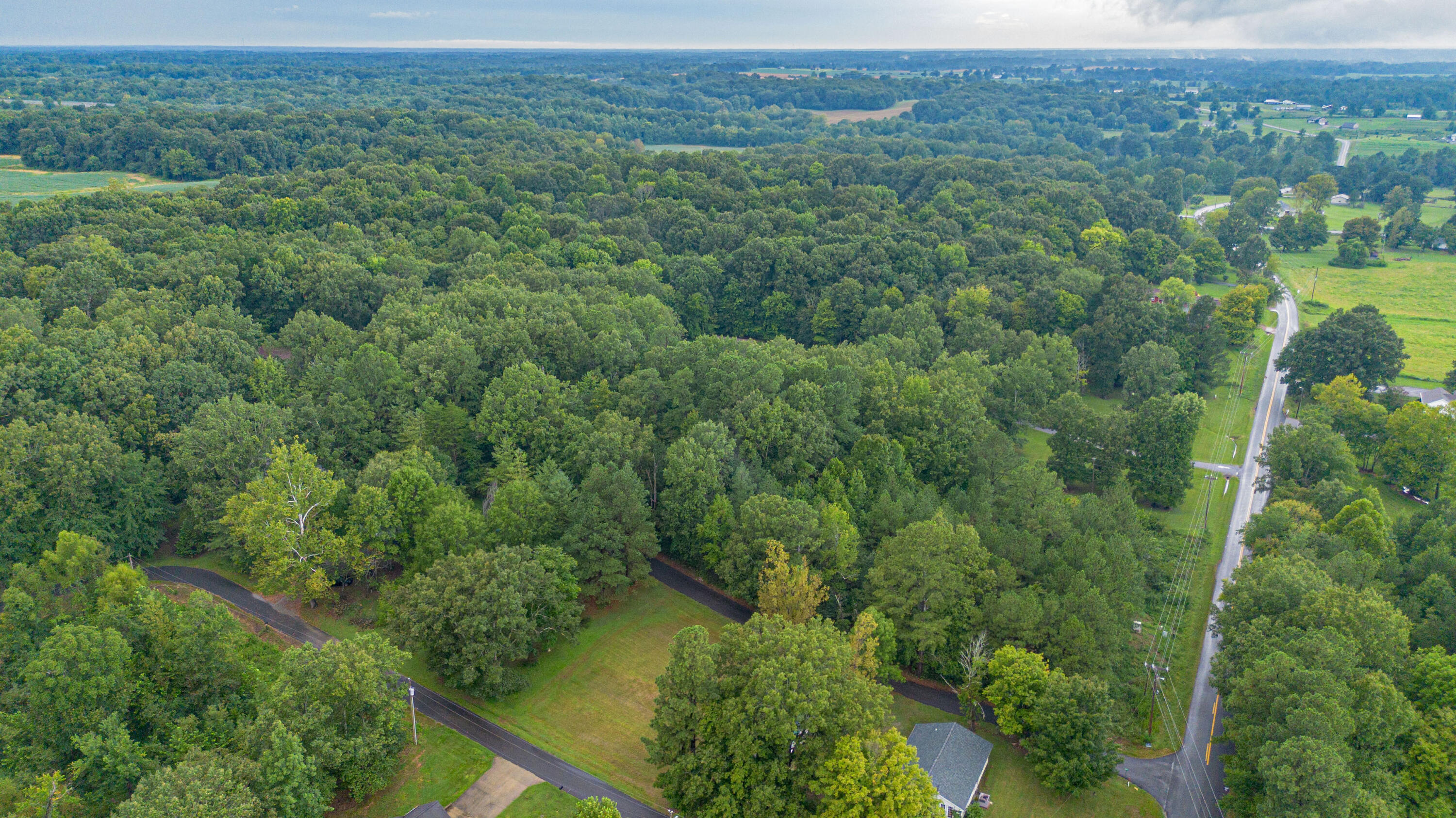 0 Oak Level Road Benton, KY 42025 - Photo 7 of 9 7