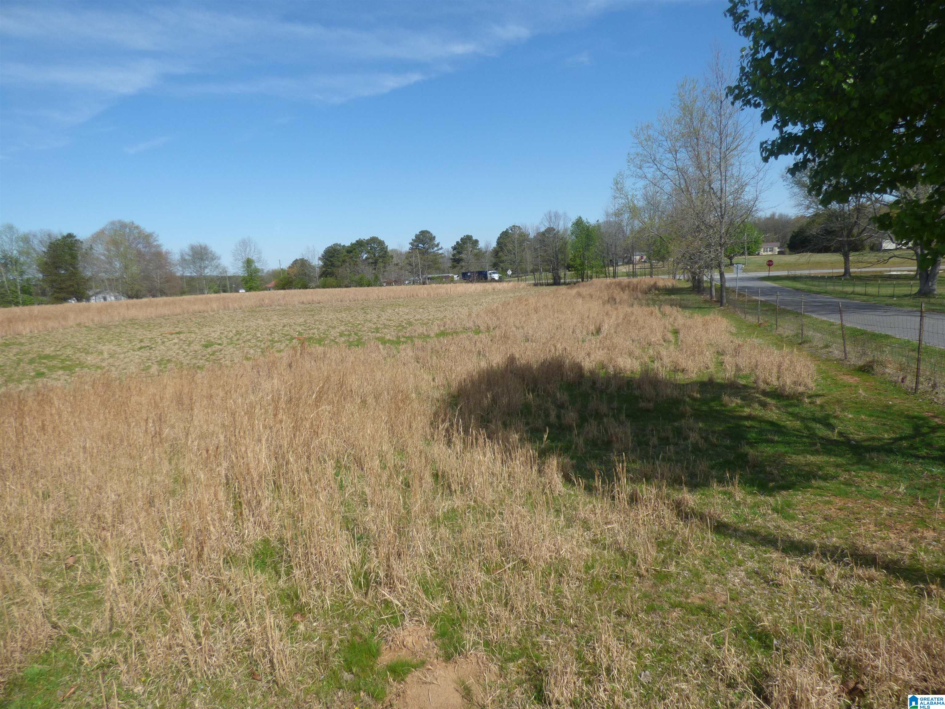 114 Haynes Road Altoona, AL 35952 - Photo 40 of 49