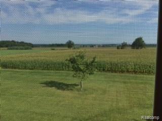 5345 East Burnside Road North Branch, MI 48461 - Photo 18 of 20 IMG_0868.JPG