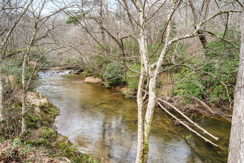 1721 Settlement Road Young Harris, GA 30582 - Photo 3 of 54 Gallery Image 3