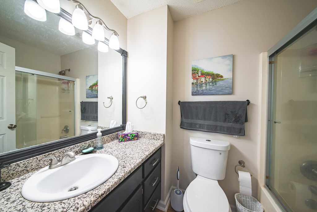 200 Lake Amah Lee Road Hampton, GA 30228 - Photo 16 of 29 a bathroom with a granite countertop sink toilet and a mirror