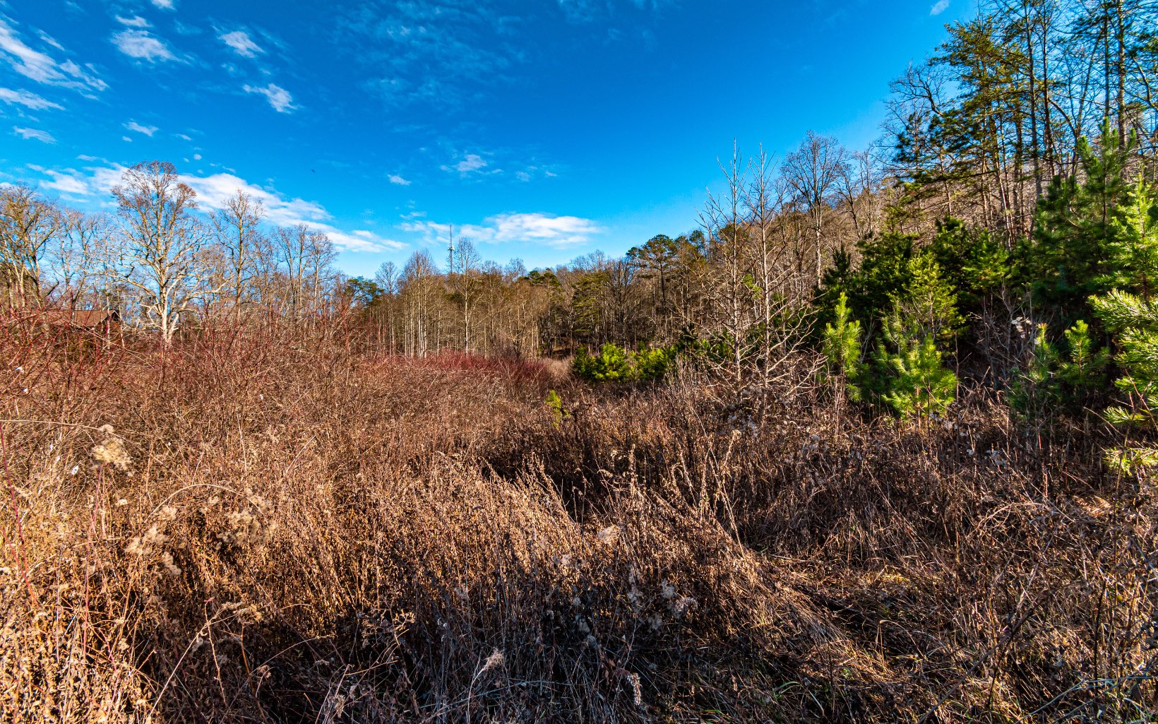 1.69 A Amber Ridge Road Blue Ridge, GA 30513 - Photo 17 of 59 Additional View
