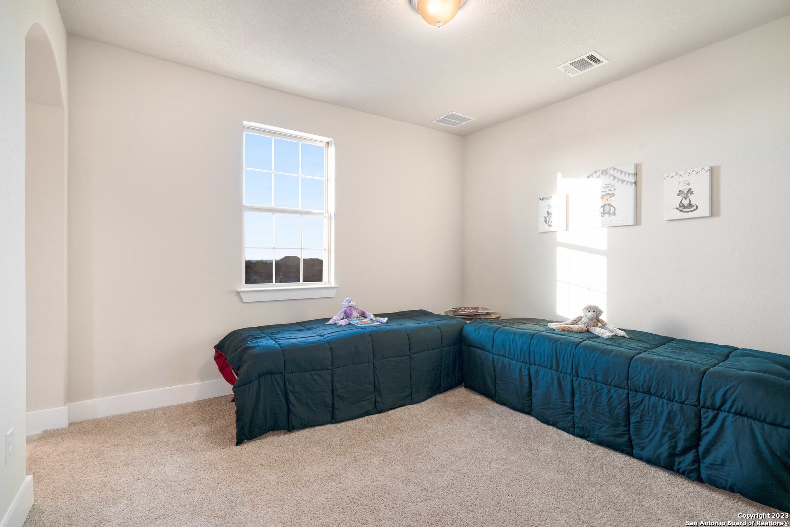 797 Lilly Bluff Castroville, TX 78009 - Photo 29 of 39