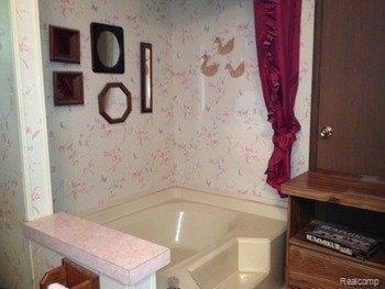 7381 Lighthouse Road Port Hope, MI 48468 - Photo 2 of 14 Tub.jpg