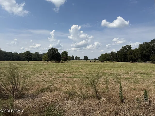 $62,540 | Tbd Winding Road, Ville Platte, LA 70586