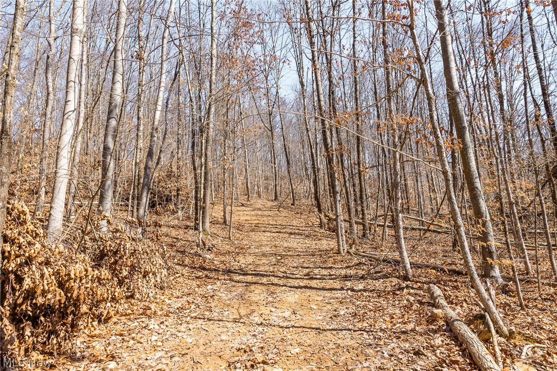 Sheepskin Ridge Road Lower Salem, OH 45745 - Photo 18 of 50 View of nature