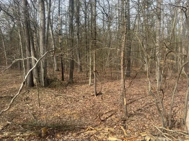 $85,000 | 0 East Meinert Road, Holton, MI 49425