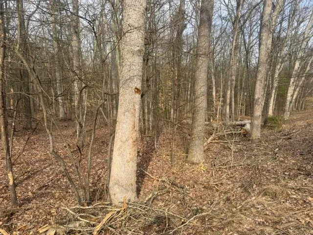 $85,000 | 0 East Meinert Road, Holton, MI 49425