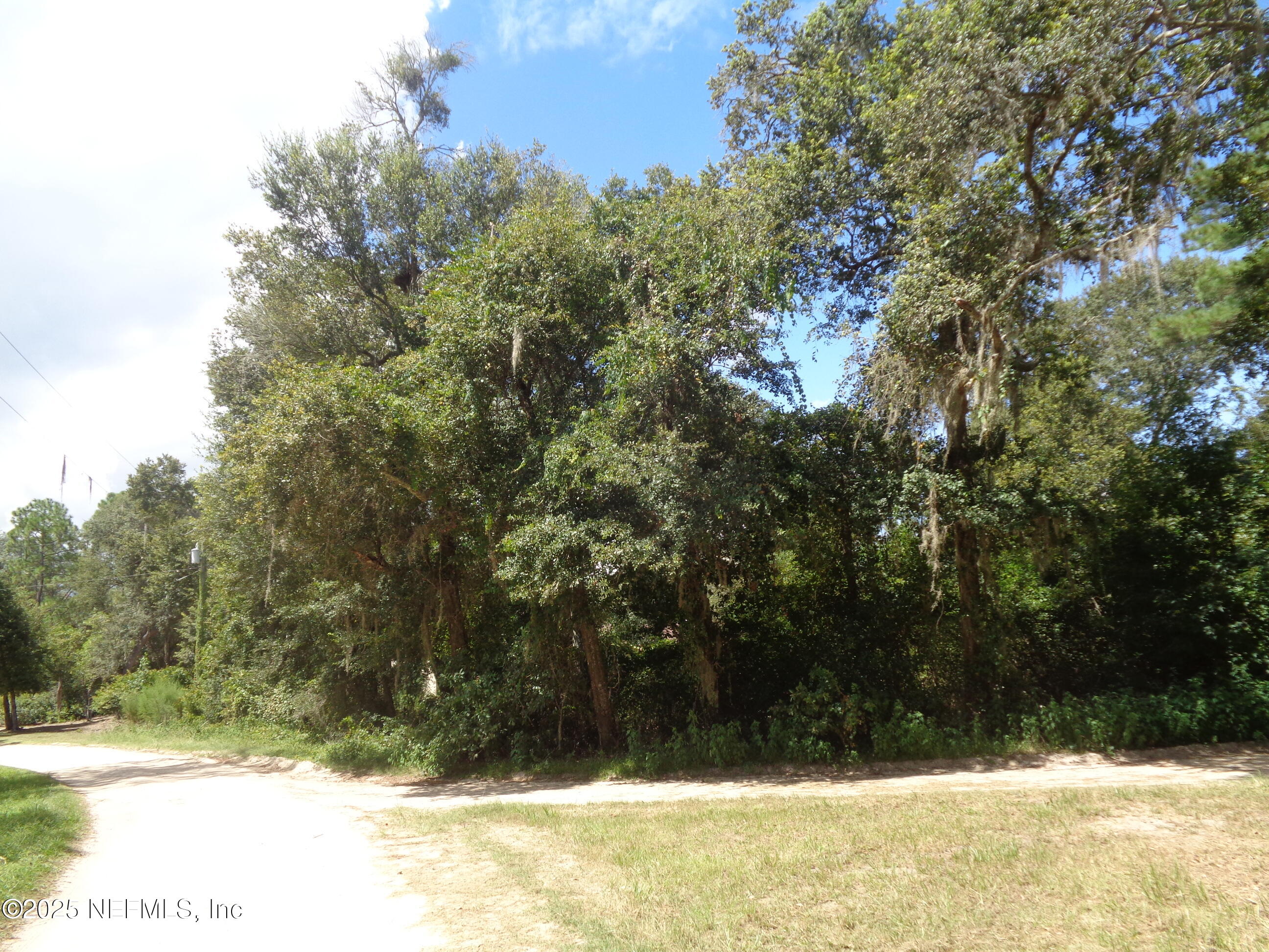 0 Lake Shore Interlachen, FL 32148 - Photo 3 of 11 a view of a yard covered with snow in the front
