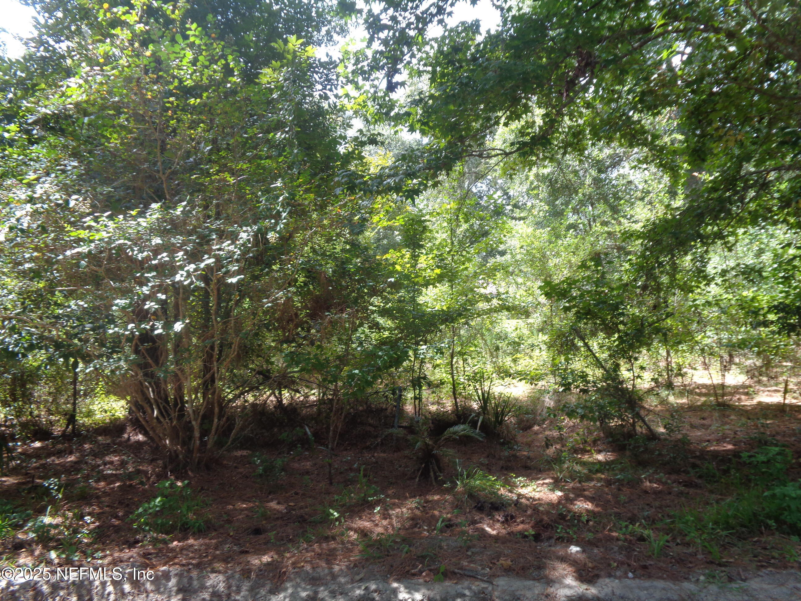 0 Lake Shore Interlachen, FL 32148 - Photo 5 of 11 a backyard of a house with lots of green space
